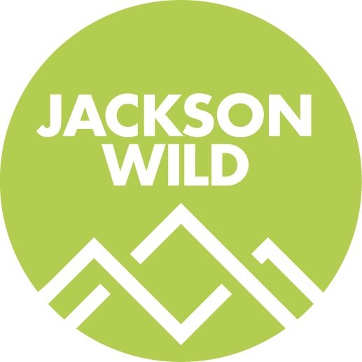 Jackson Wild